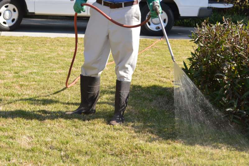 Emergency Pest Control